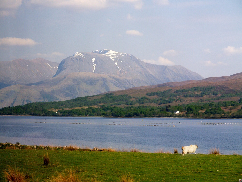 Ben Nevis 1343mnm.jpg